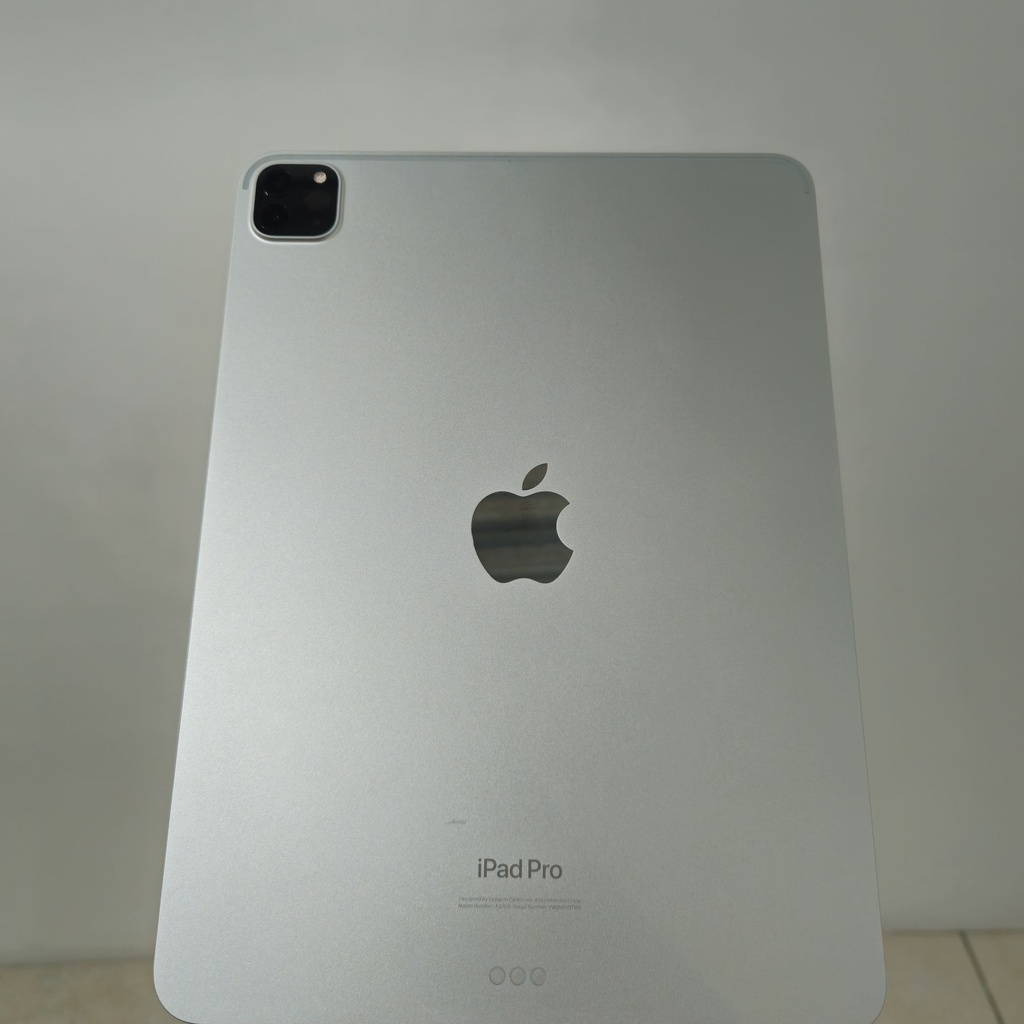 iPad Pro 4 11" 128gb (Gris)